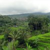 Bali-Landschaft (52)